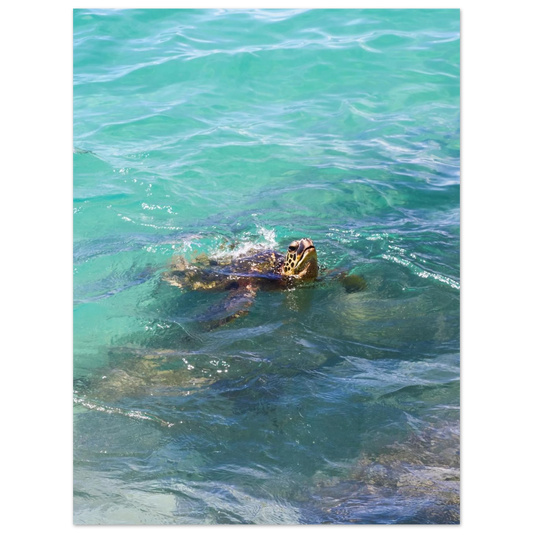 1a9a31c2-88c1-46ad-a21e-4ba1d3bcc0d5