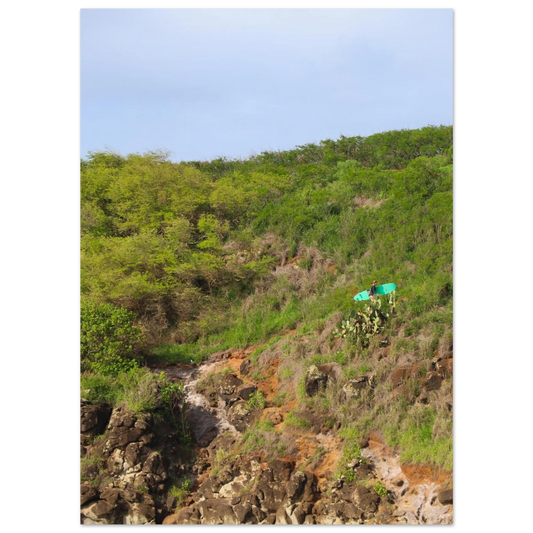 2d917e26-41e0-4a1b-8eff-7c2e677ffaa0