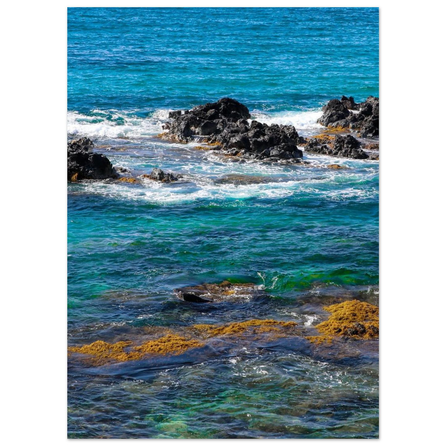 d88f1854-c162-4c35-9980-7e0d962457a4