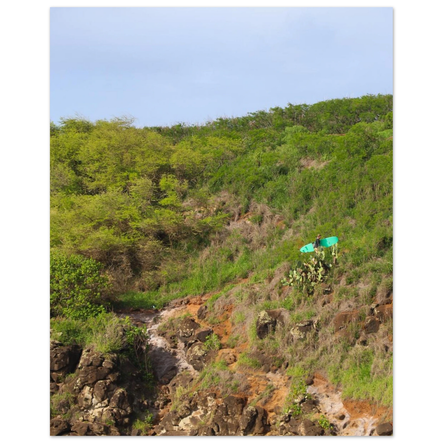 df61722c-9167-4499-aba1-95d7a9235269