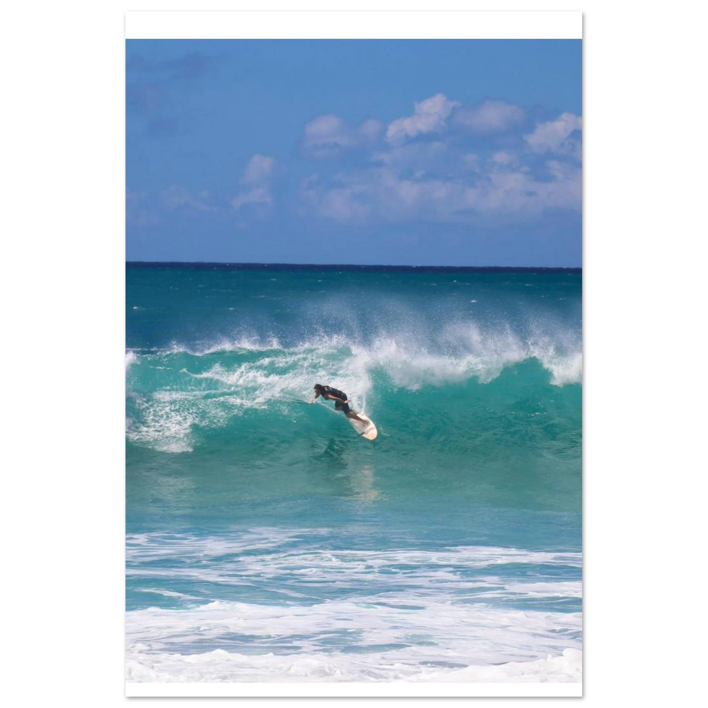 37228f56-6e24-4016-9336-6d884ff06337