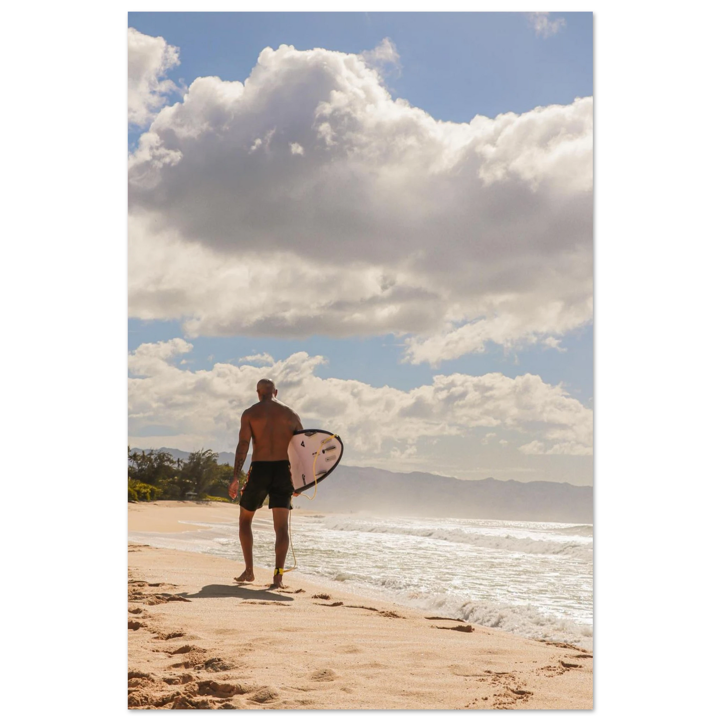 43d8874d-2ee4-4cda-a446-aa686ecca8fc