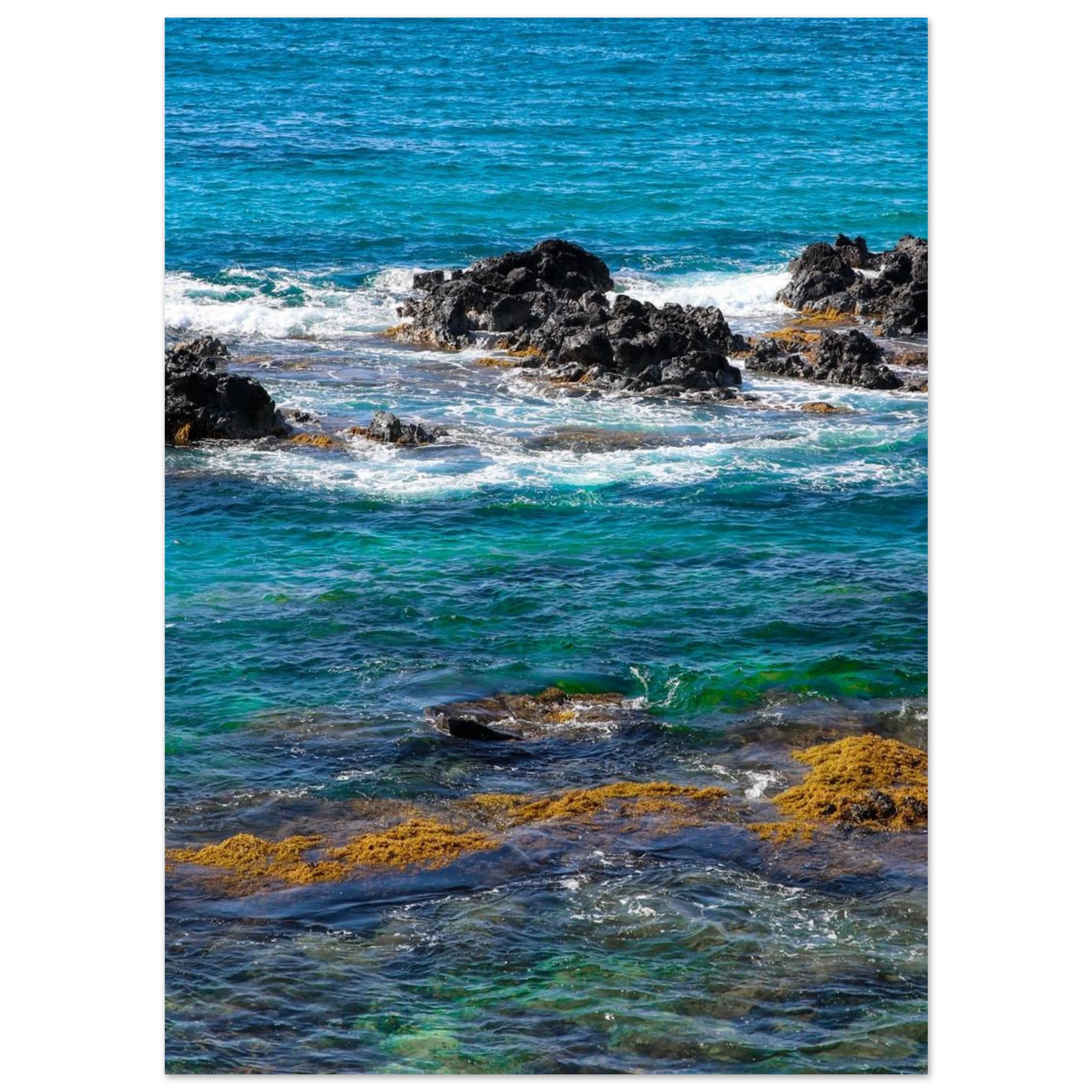 d88f1854-c162-4c35-9980-7e0d962457a4